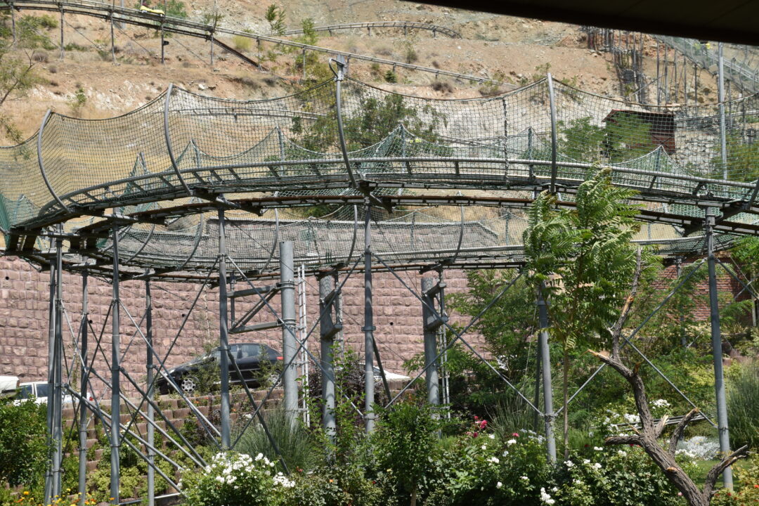 اردوی سورتمه__کف الشهدا
