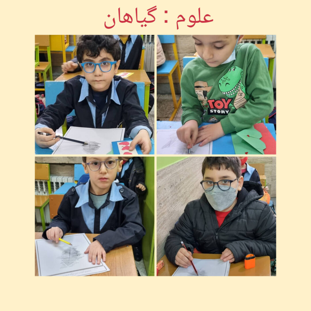 فعایت های منتخب _ پایه اول _ ایمان 4