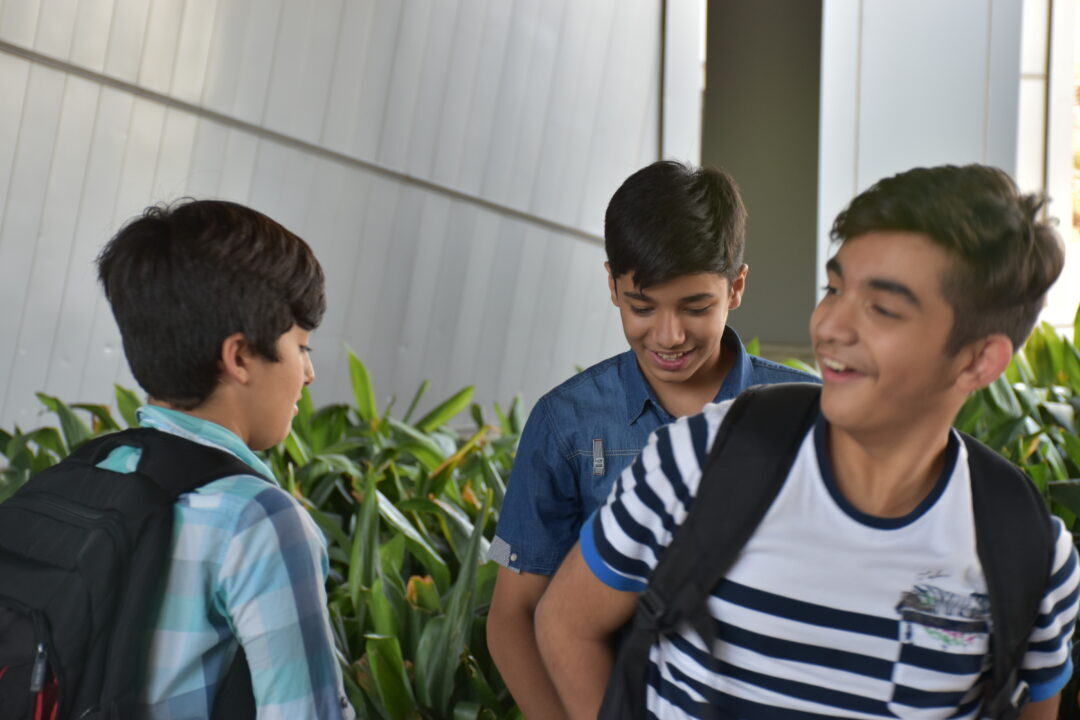 اردوی باغ موزه دفاع مقدس