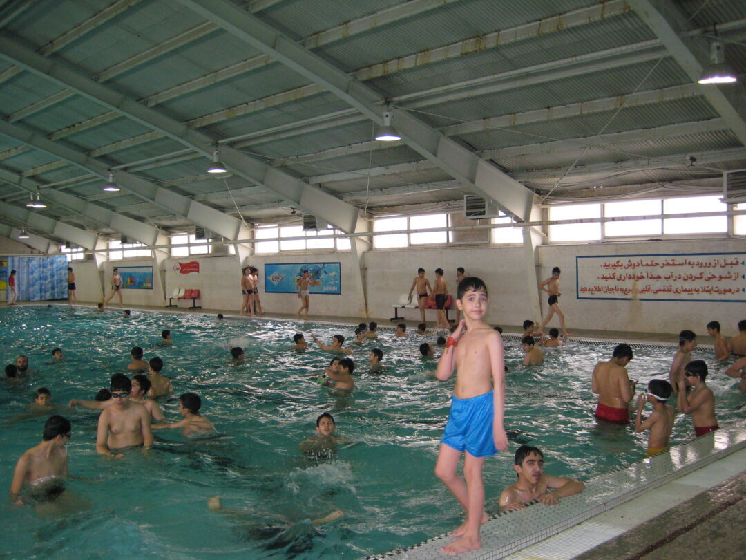 اردوی استخر