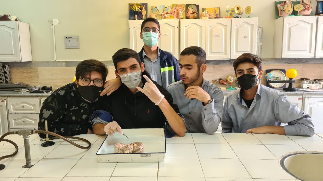 آزمایشگاه زیست مبحث تشریح مغز پایه یازدهم رشته تجربی