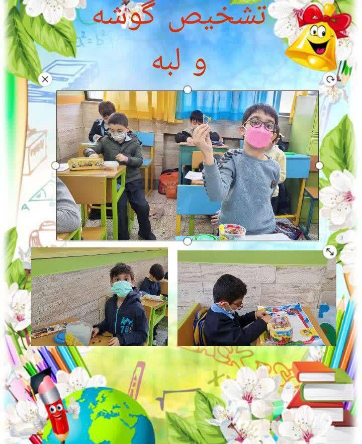 گزارش تصاویر منتخب کلاس 1/4