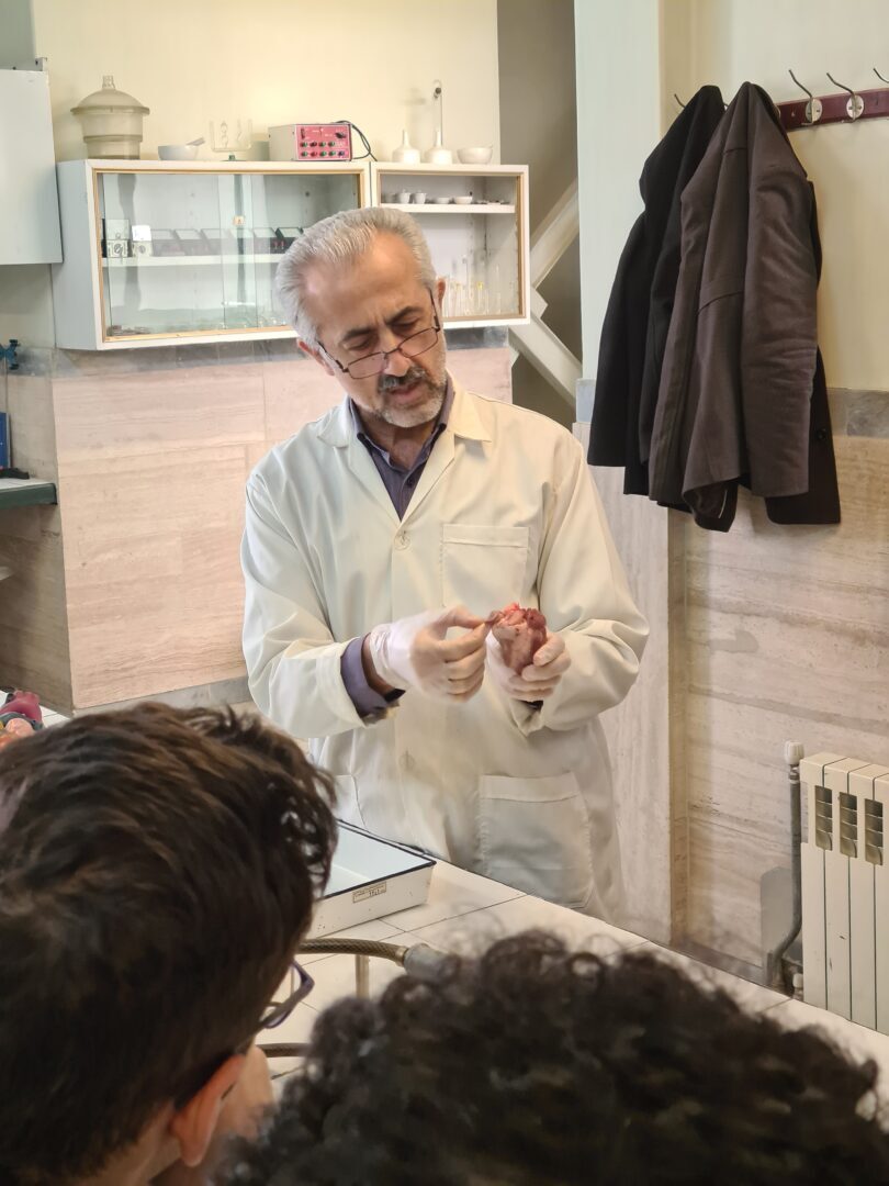 آزمایشگاه علوم تجربی پایه دهم تشریح قلب